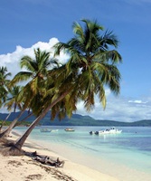 Las Galeras Dominican Republic 62